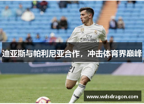 迪亚斯与帕利尼亚合作，冲击体育界巅峰